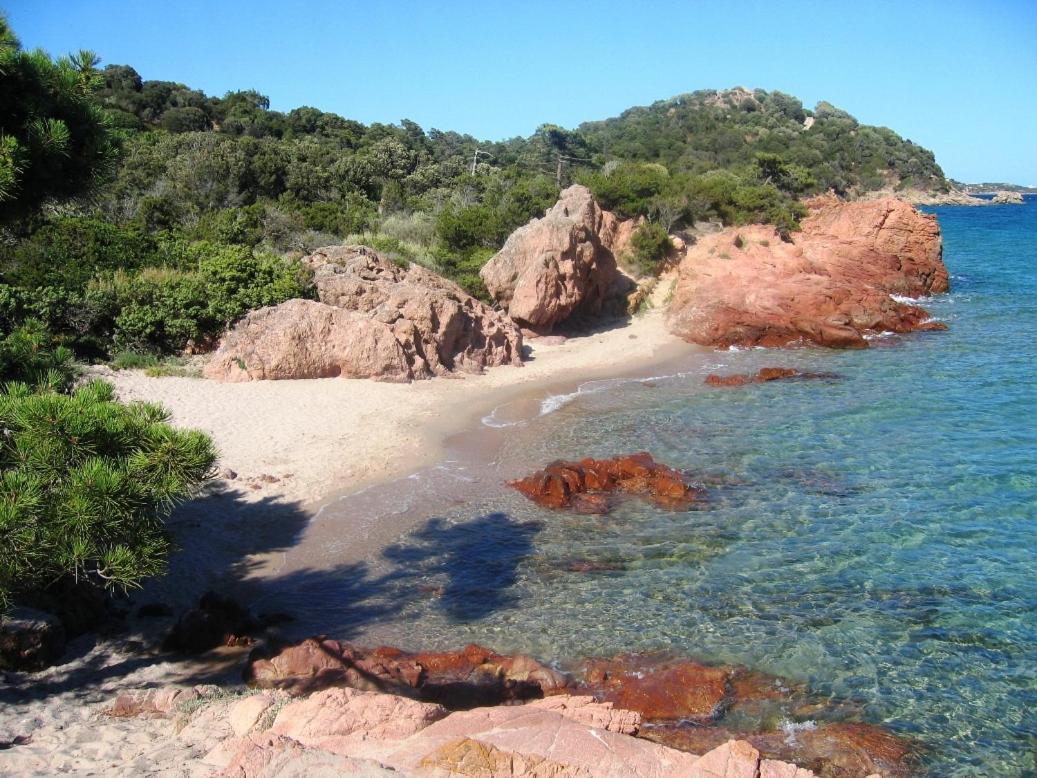 Holiday home U Benedettu - Figuier